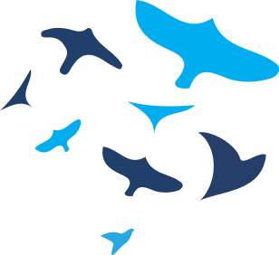 Birds Logo Just George